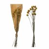 Accessories * | Dried Natural Craspedia Bunch Best-Selling