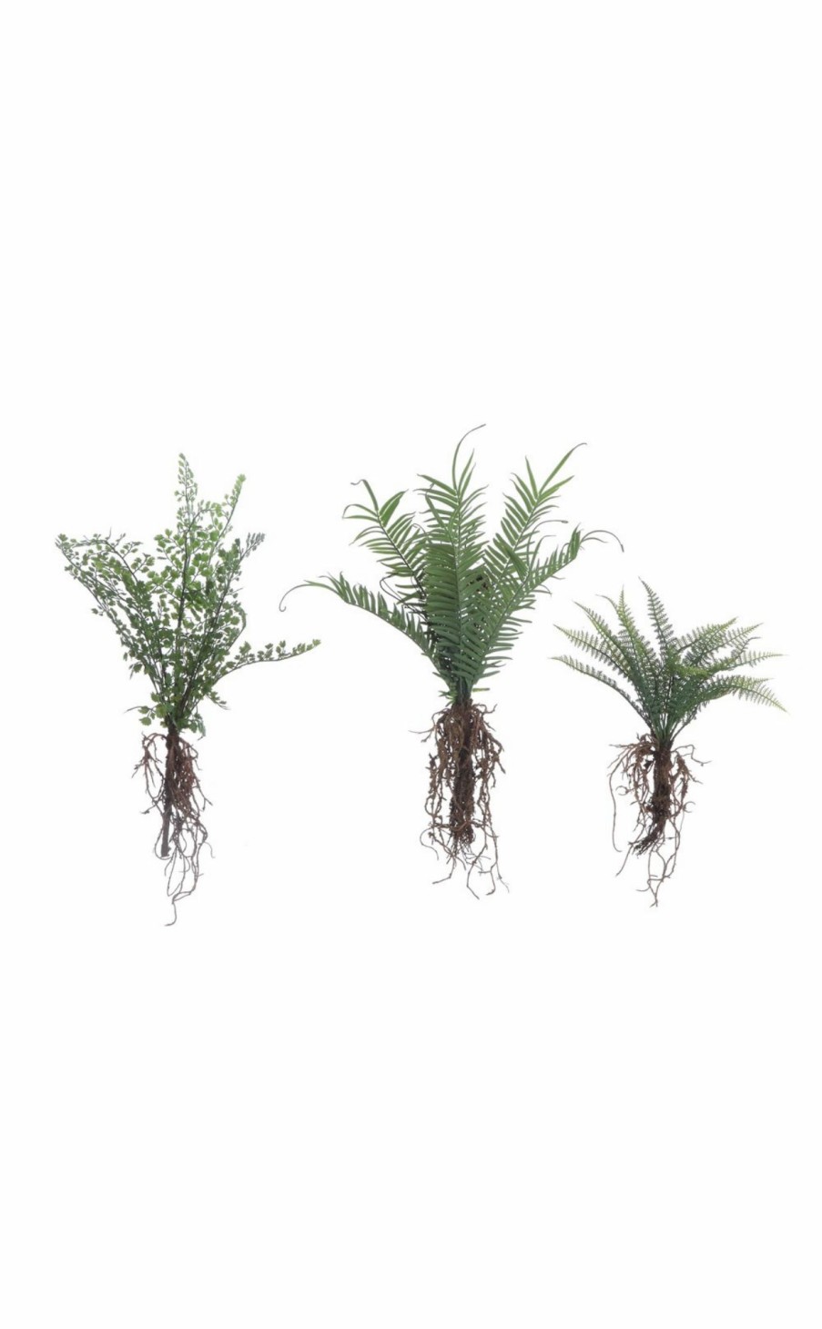 Accessories * | Faux Fern With Exposed Roots New In