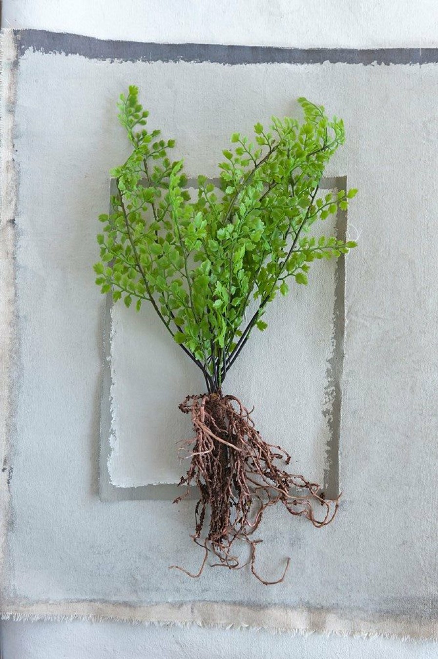 Accessories * | Faux Fern With Exposed Roots New In